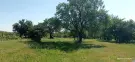 Baranya megye - Mohács