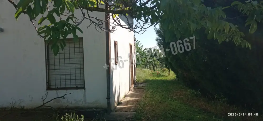 Baranya megye - Mohács
