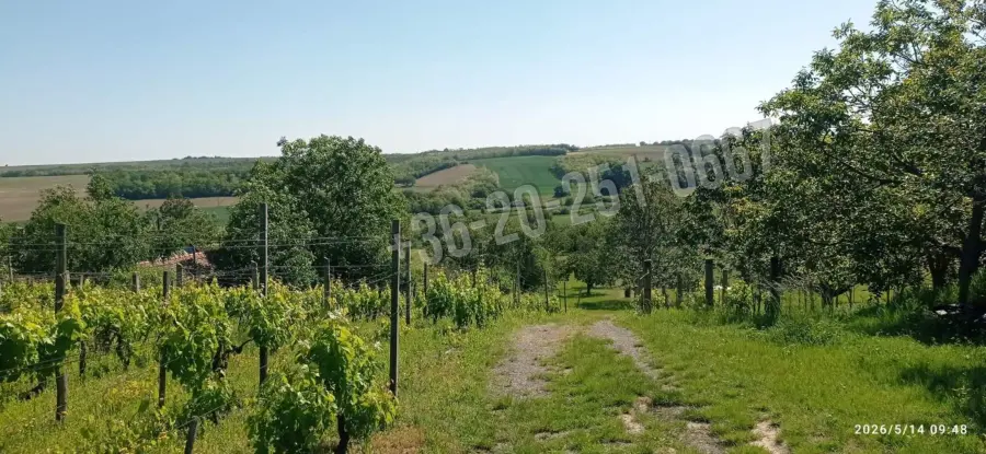 eladó  Gyümölcsös, Mohács