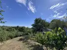Zala megye - Nagykanizsa