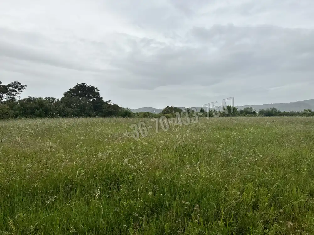 Pest megye - Törökbálint