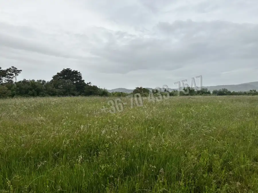 eladó  Gyümölcsös, Törökbálint