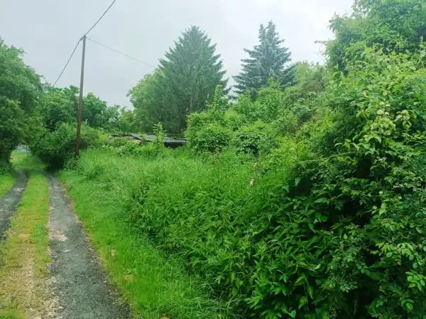 Eladó Gyümölcsös, Vác 10403 m² 18.5 M Ft