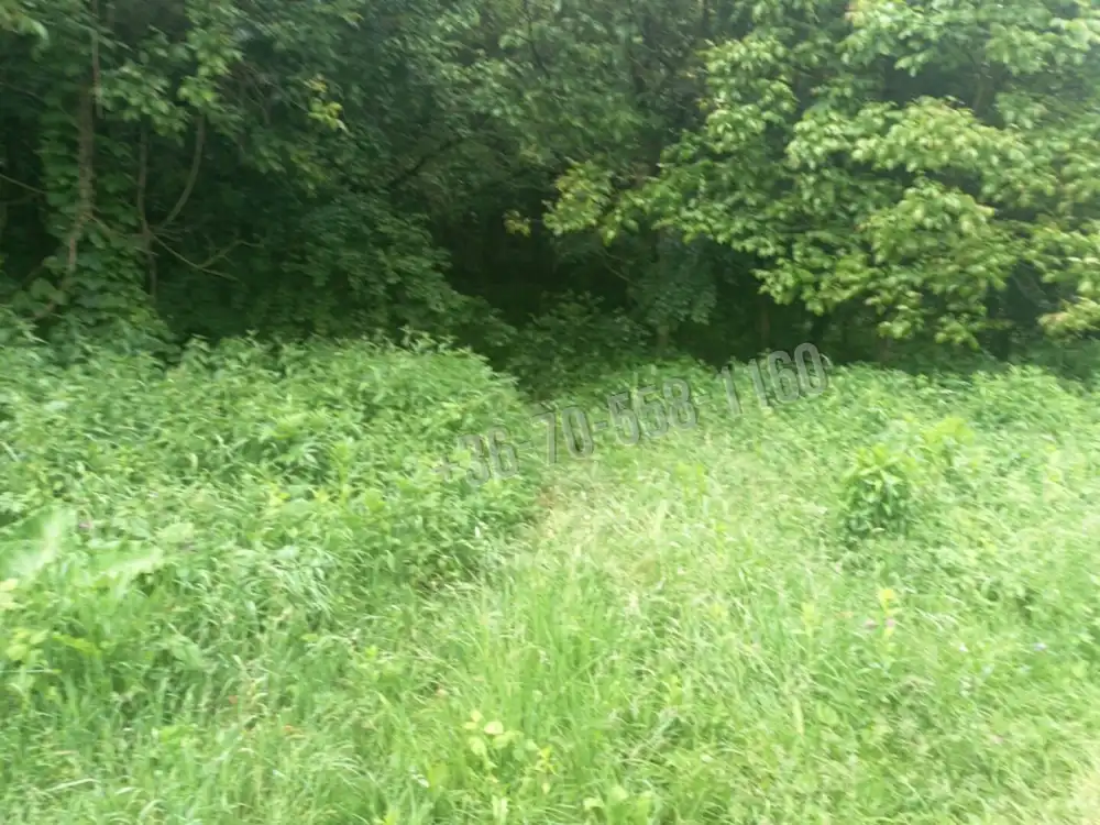 Pest megye - Vác