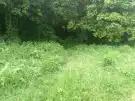 Pest megye - Vác