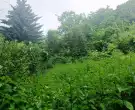Pest megye - Vác