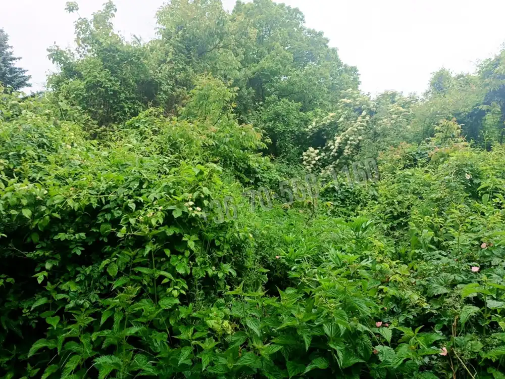 Pest megye - Vác