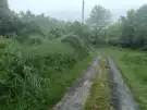 Pest megye - Vác