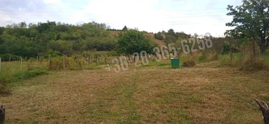 eladó  Gyümölcsös, Vác