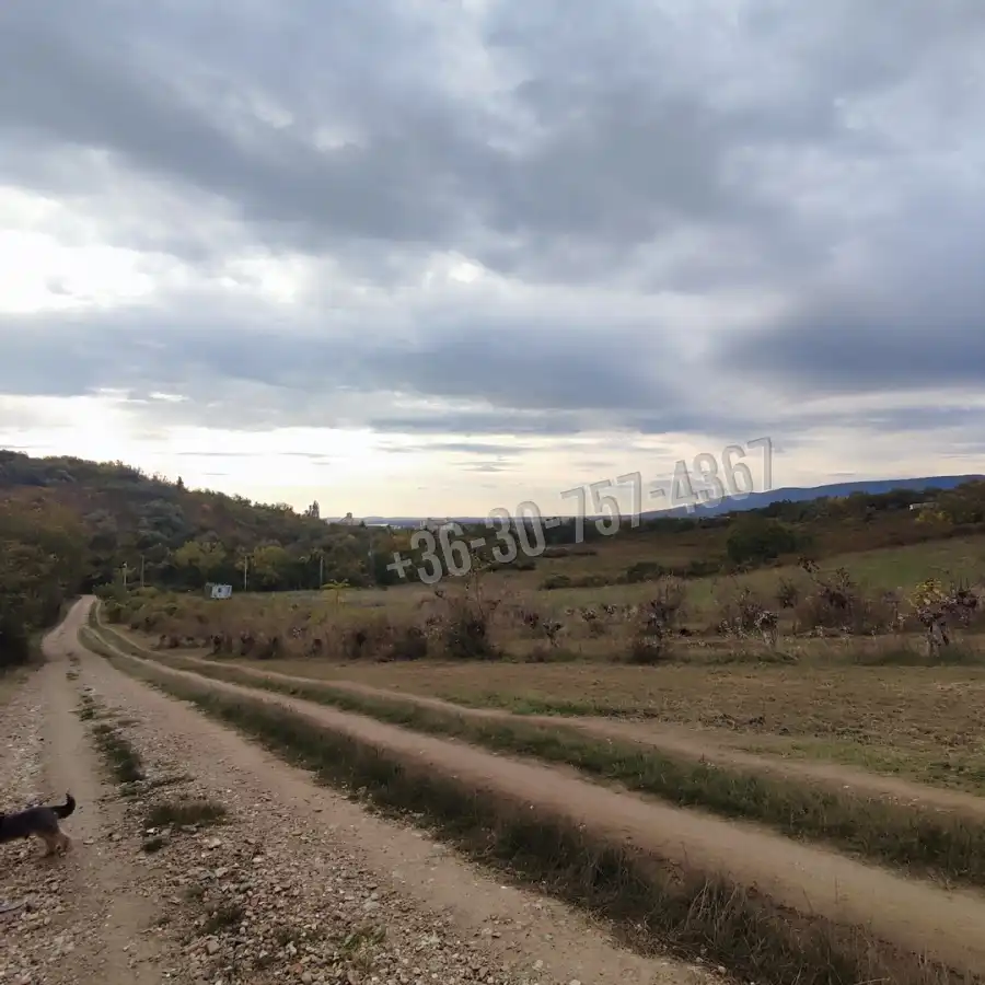 eladó  Gyümölcsös, Vác