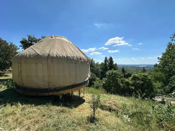Eladó Gyümölcsös, Vác 766 m² 23.99 M Ft