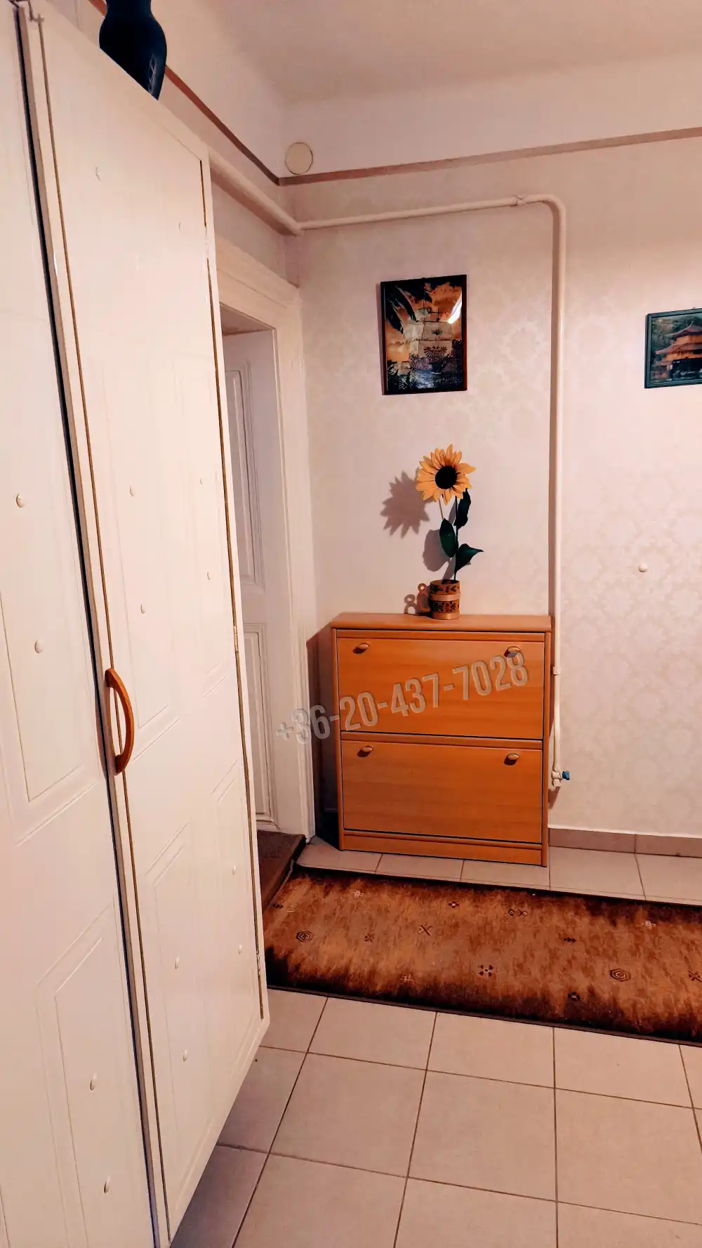 Pest megye - Budakeszi