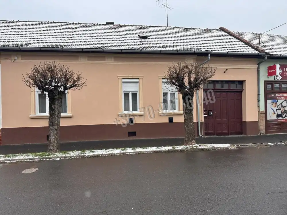 Békés megye - Gyula