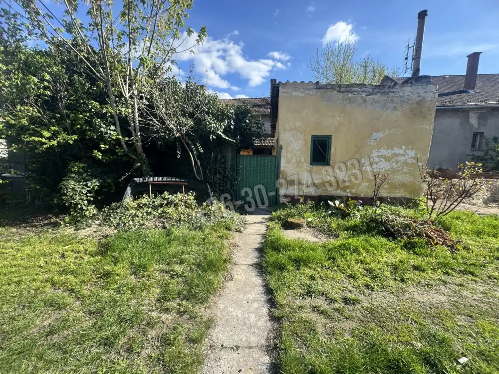 Bács-Kiskun megye - Kiskunfélegyháza