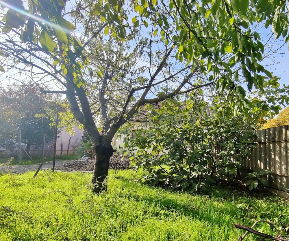 Csongrád megye - Szeged