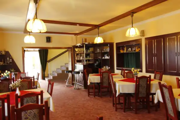Eladó hotel, szálloda, Bük-Bükfürdő 13 szoba 620 m² 190 M Ft