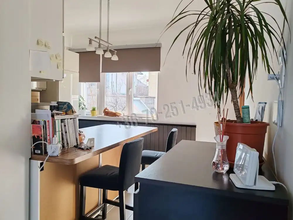 Budapest, XXI. kerület - Királyerdő