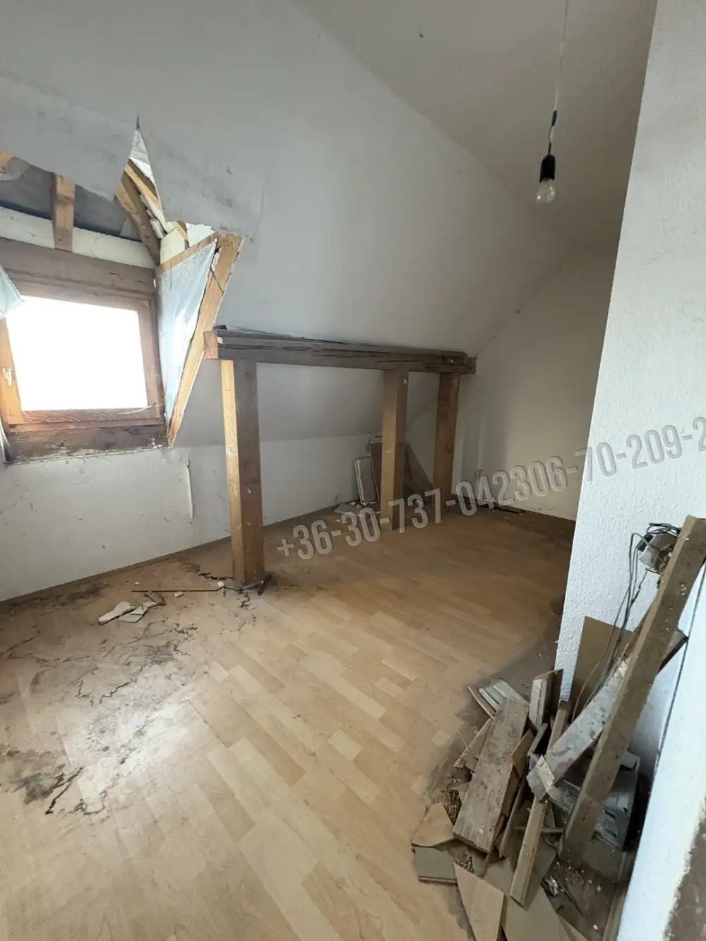 Budapest, XXI. kerület - Királyerdő