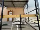Pest megye - Dabas