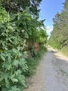 Pest megye - Dabas