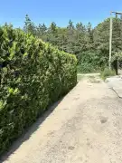 Pest megye - Dabas