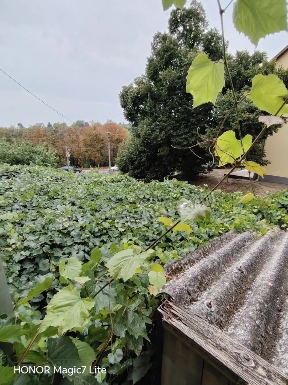 Fejér megye - Dunaújváros