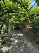 Fejér megye - Dunaújváros