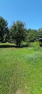 Zala megye - Felsőpáhok
