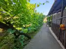 Csongrád megye - Szeged