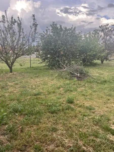 eladó ingatlan, Albertirsa