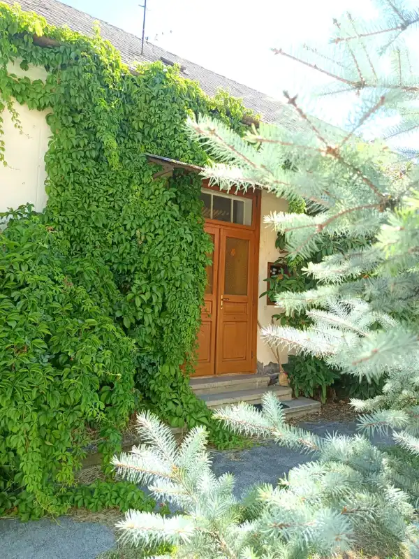 Eladó ingatlan, Balatonfüred 2+1 szoba 205 m² 115 M Ft