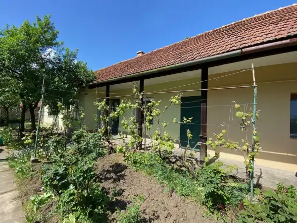 Eladó ingatlan, Békéscsaba 2 szoba 95 m² 25 M Ft