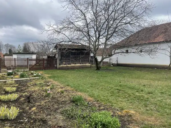 Eladó ingatlan, Békéscsaba 2 szoba 85 m² 22.9 M Ft