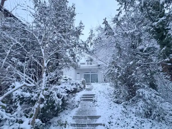 Eladó ingatlan, Budapest, I. kerület 4 szoba 205 m² 359 M Ft