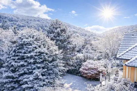 eladó ingatlan, Budapest, II. kerület