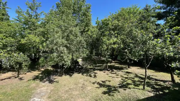 Eladó ingatlan, Budapest, XVII. kerület 2+1 szoba 69 m² 75 M Ft