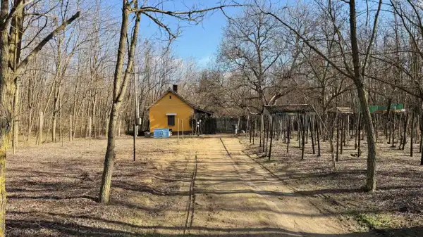 Eladó ingatlan, Dabas 1 szoba 50 m² 14.99 M Ft