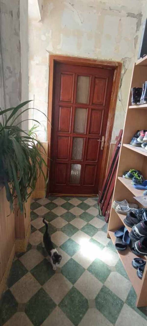 eladó ingatlan, Dabas