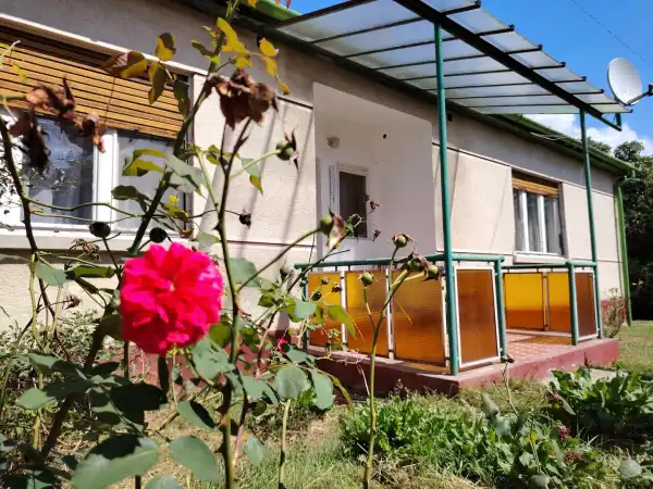 Eladó ingatlan, Drégelypalánk 4 szoba 149 m² 26.4 M Ft