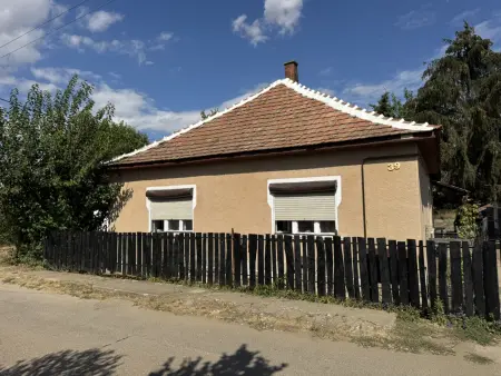 eladó ingatlan, Erdőtelek