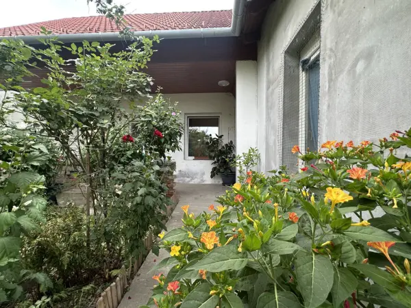 Eladó ingatlan, Káloz 5 szoba 134 m² 55 M Ft
