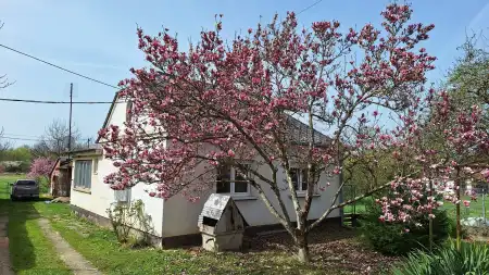 Eladó ingatlan, Kerkáskápolna 3+2 szoba 110 m² 48 M Ft