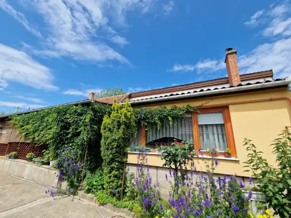 Eladó ingatlan, Kiskőrös 3 szoba 200 m² 42.9 M Ft