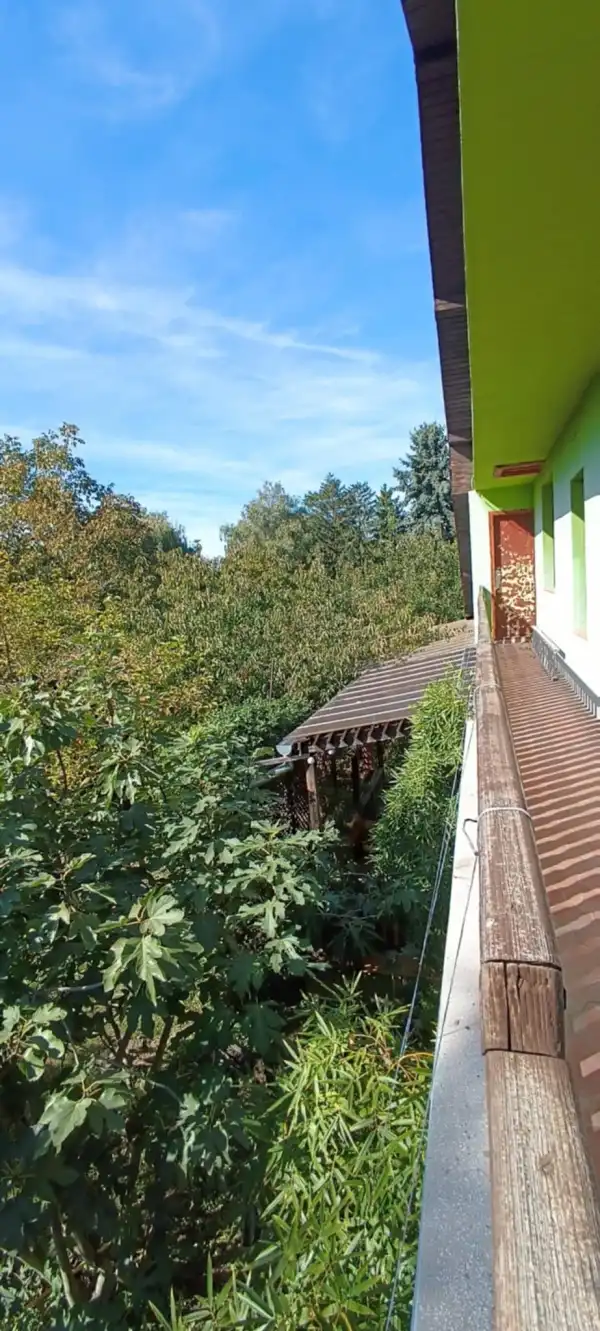 Eladó ingatlan, Kiskunlacháza 2 szoba 205 m² 68.99 M Ft
