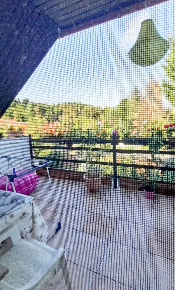 Eladó ingatlan, Leányfalu 3 szoba 126 m² 48 M Ft