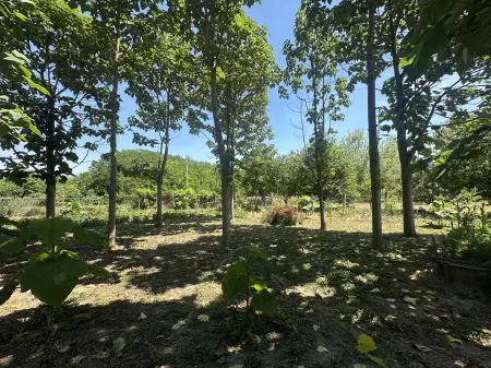 Eladó ingatlan, Lovasberény 1 szoba 37 m² 30 M Ft