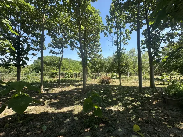 Eladó ingatlan, Lovasberény 1 szoba 37 m² 30 M Ft