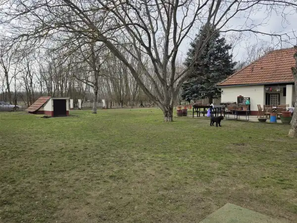 Eladó ingatlan, Mikebuda 7 szoba 120 m² 45.9 M Ft