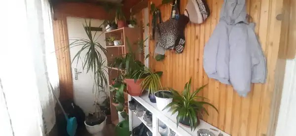 Eladó ingatlan, Monok 2 szoba 81 m² 12.9 M Ft