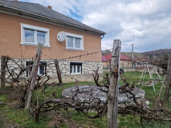 Eladó ingatlan, Nagyvisnyó 3 szoba 80 m² 29.5 M Ft